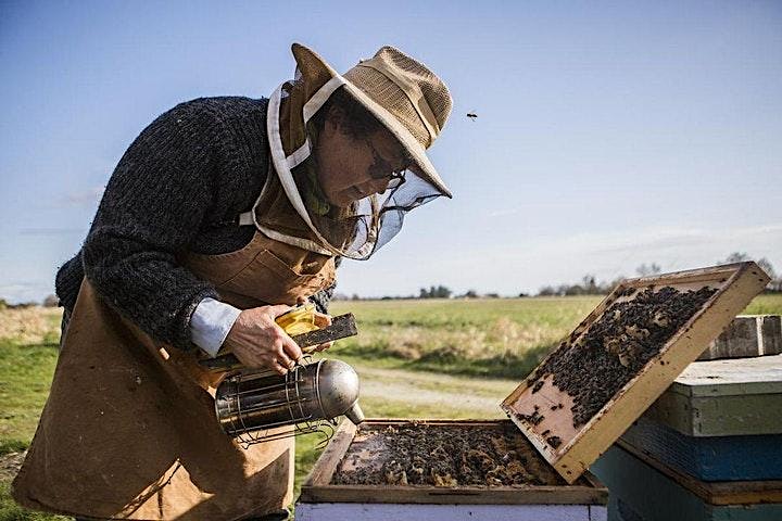 Preparing for the Fall: Field Beekeeping Workshop image