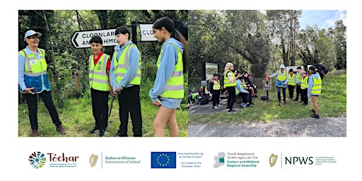 Image principale de Bog Eco-Talk & Guided Walk, Kilteevan, Roscommon
