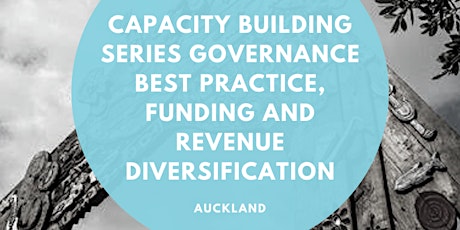 Governance best practice, funding and revenue diversification primary image