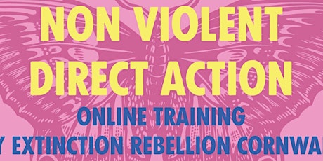 Non-Violent Direct Action (NVDA) training primary image