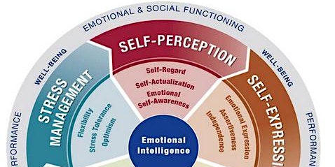 Emotional Intelligence Certification EQ-i 2.0 and EQ 360