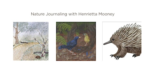 Imagen principal de Learn the art of Nature Journaling with Henrietta Mooney