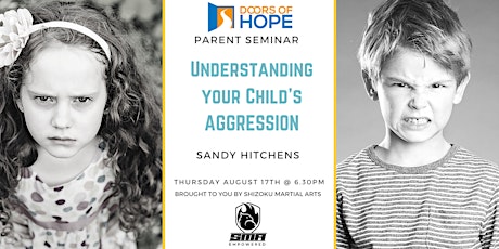 Understanding your child's agression primary image