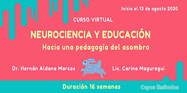 Curso Virtual "NEUROCIENCIA y EDUCACIÓN: HACIA UNA PEDAGOGÍA DEL ASOMBRO".