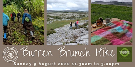 Burren Brunch Hike - Sunday 9 August 2020 primary image