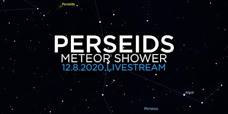 Perseids Meteor Shower 2020 Live Stream primary image