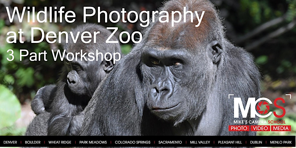 Photo of 3 Part Wildlife Photography Workshop at Denver Zoo