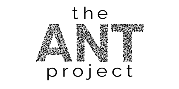 The ANT Project Workshop
