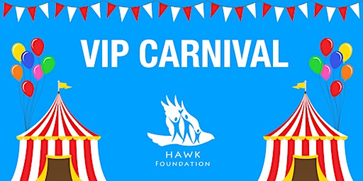 Immagine principale di 2025 VIP Carnival