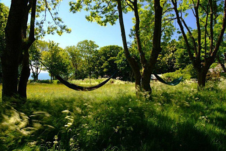 *sold out* 21-23 Aug - Yin Yoga Retreat image