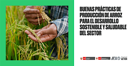 Imagen principal de Buenas prácticas de producción de arroz para el desarrollo sostenible