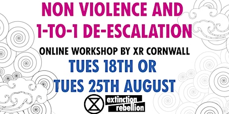 Nonviolence and 1-to-1 De-escalation workshop primary image