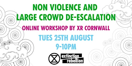 Nonviolence and large crowd De-escalation workshop primary image