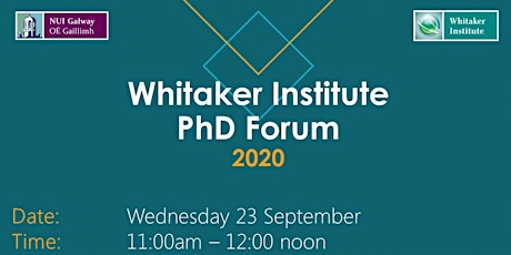 Whitaker Institute PhD Forum