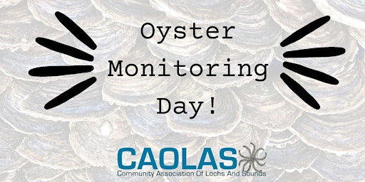 Image principale de Oyster Monitoring Day