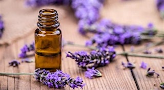 Aromatherapy Sound Bath primary image