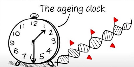 Babraham Institute  Science Spotlight: Race Against the Ageing Clock primary image
