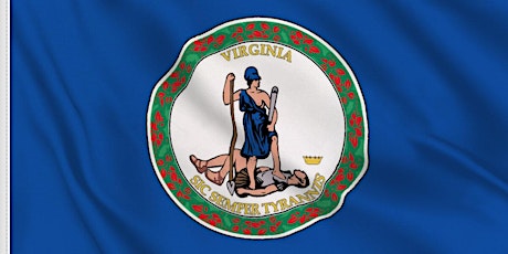 Your Amendment Vote on Virginia Redistricting Reform primary image