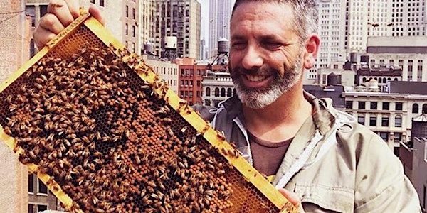 Meet the Bees: A Virtual Hive Tour with Andrew Coté