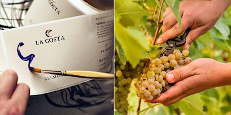 Immagine principale di Winery Visit : Grape Harvest, Wine Label Painting, 