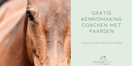 Primaire afbeelding van Gratis kennismaking coaching met paarden
