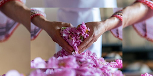 Image principale de ABUNDANCE: a 9d Breathwork journey + Reiki + Chrystals