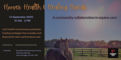 Image principale de Hooves, Health & Healing Hands