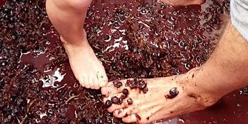 Image principale de Annual Urban Winery GRAPE STOMP with Live Music to follow