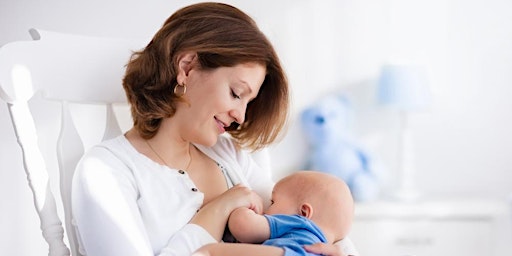 Imagen principal de Virtual Breastfeeding Support Group