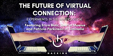 The Future of Virtual Connection: Lessons Learned from the Immersiverse primary image