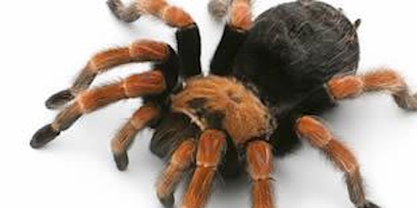 Meet the Animals with Creepy Claws
