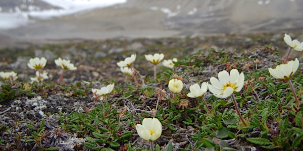 Bogs, Fungi and Methane:Discovering the hidden treasures of Western Siberia