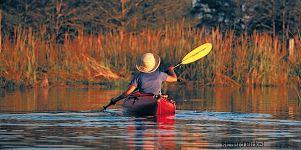 Paddle The Gulf Apalachicola