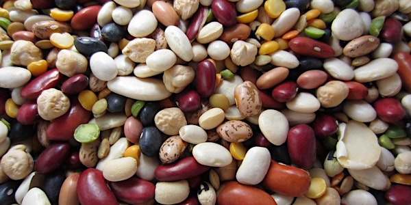 Beans and Lentils 101