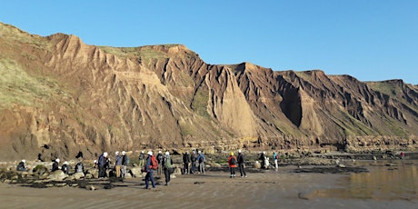 Filey Bay Fossil Hunting Trip - 19 August 2020 - 1 primary image