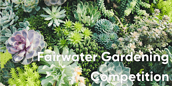 Fairwater Residents Garden Competition