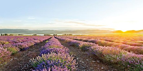 Hauptbild für Lifestyle-Erlebnis-Tag