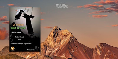 Image principale de Oiseaux Cols Libres - Soirée conte - Un Vautour dans le vent - Public Famil