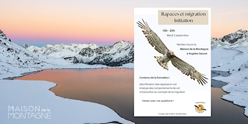 Image principale de Rapaces et migration – Initiation - Oiseaux Cols Libres