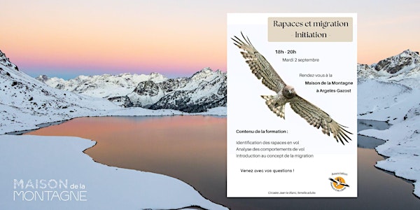 Rapaces et migration – Initiation - Oiseaux Cols Libres