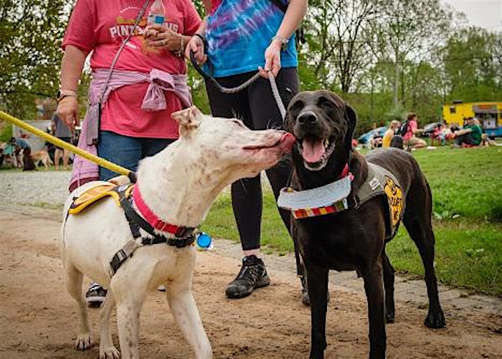 Animal Protection Society of Durham Craft Beverage Festival 2021 image