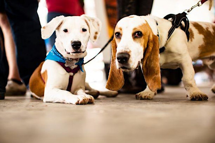 Animal Protection Society of Durham Craft Beverage Festival 2021 image