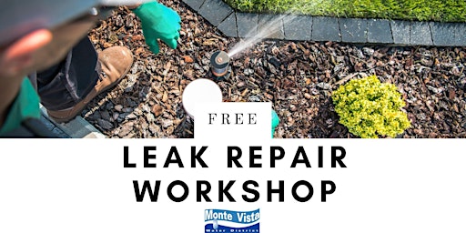 Image principale de Leak Repair Workshop