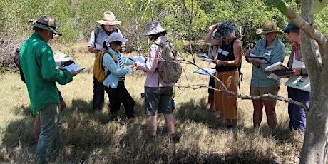 Saltmarsh Assessment: AFP, Airport Boardwalk, PCYC primary image