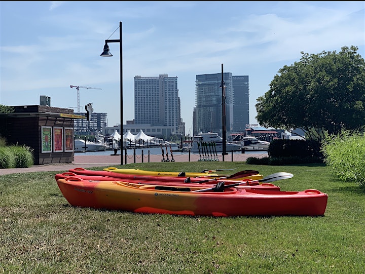 Inner Harbor Kayak Tours image