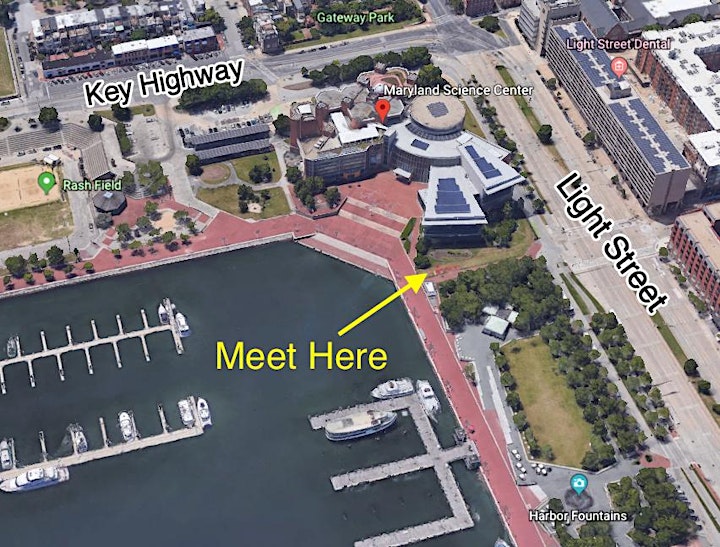 Inner Harbor Kayak Tours image