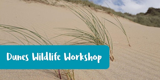 Immagine principale di T2S Dunes Wildlife Workshop