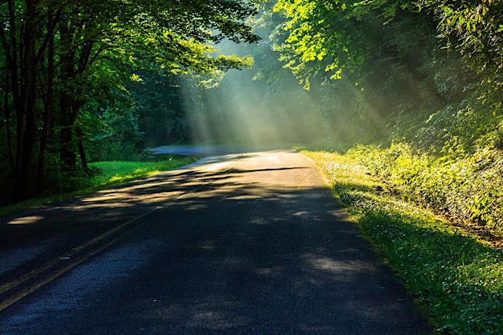 Tools for Personal Transformation: Life Talent Level 1, November2021 image