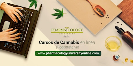 Imagen principal de Seminario Educativo de Cannabis Medicinal Santo Domingo