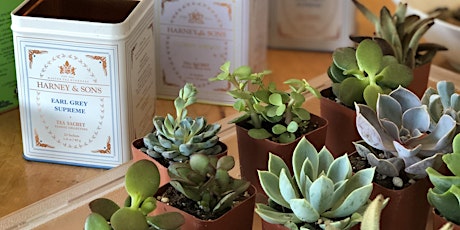 Wine & Succulents Party primary image